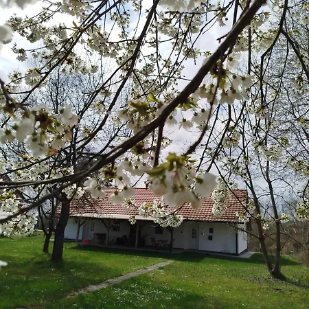 Διαμέρισμα Belu & Orseg